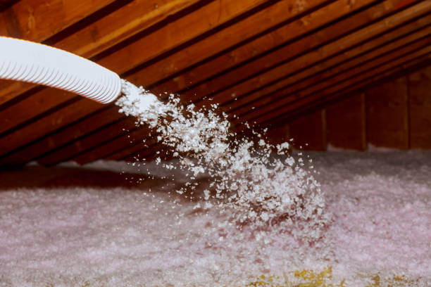 Best Batt and Roll Insulation  in Waterloo, WI